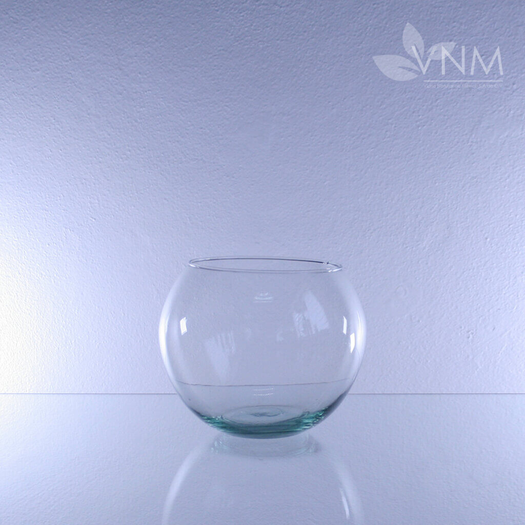 Vidrio Natural de México | Decoración - Pecera #6 Transparente