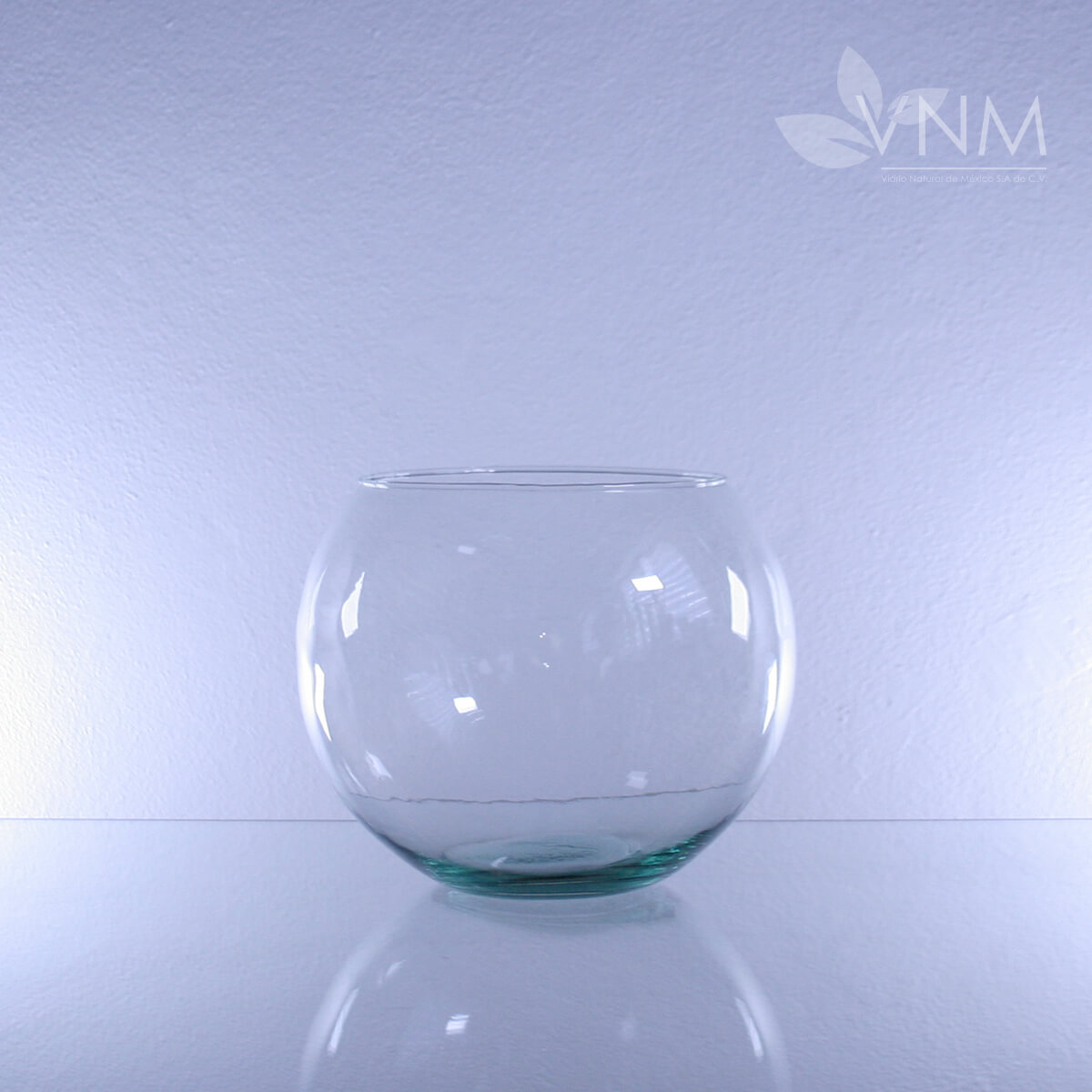 Vidrio Natural de México | Decoración - Pecera #8 Transparente